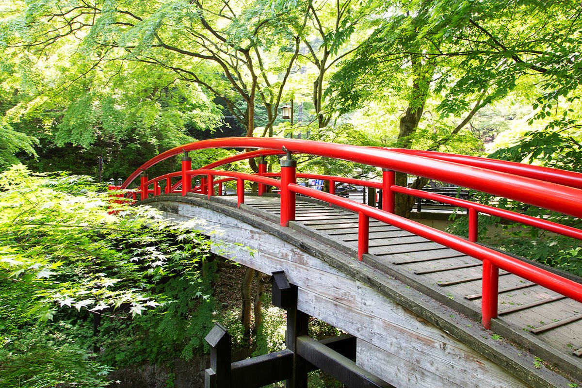 🏯 슈온안 (잇큐지) 이미지 8